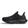 Anacapa 2 Freedom ’Black’