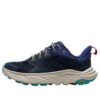 Anacapa 2 ’Varsity Navy Mountain Iris’