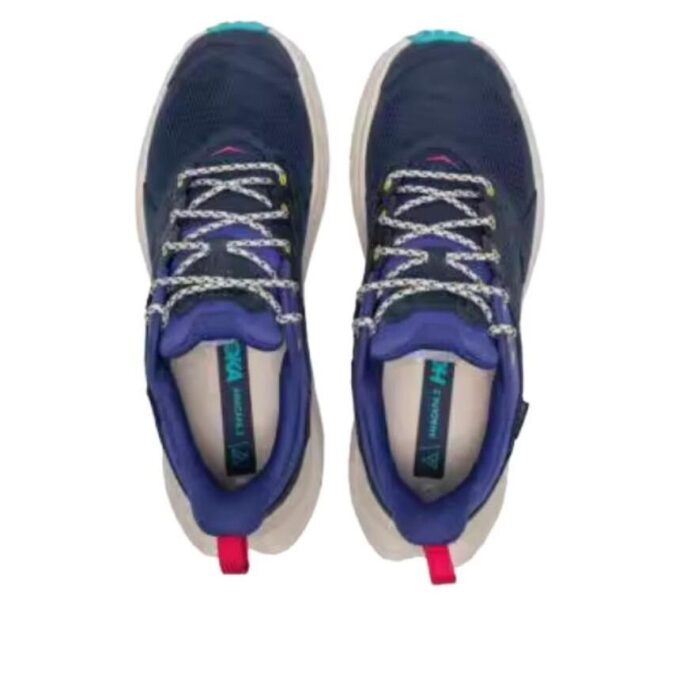 Anacapa 2 ’Varsity Navy Mountain Iris’