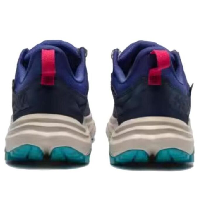 Anacapa 2 ’Varsity Navy Mountain Iris’