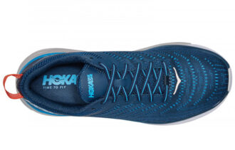 Arahi 4 ’Majolica Blue Dresden Blue’