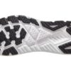 Arahi 6 ’Blanc De Blanc Steel Wool’