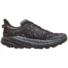 Speedgoat 6 GTX ’Black Outer Orbit’