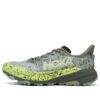 Speedgoat 6 GTX ’Slate Aloe Vera’