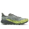 Speedgoat 6 GTX ’Slate Aloe Vera’