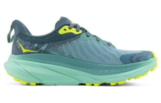 (WMNS) Challenger ATR 7 GTX ’Trellis Balsam Green’