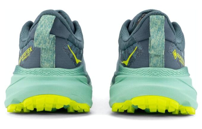 (WMNS) Challenger ATR 7 GTX ’Trellis Balsam Green’